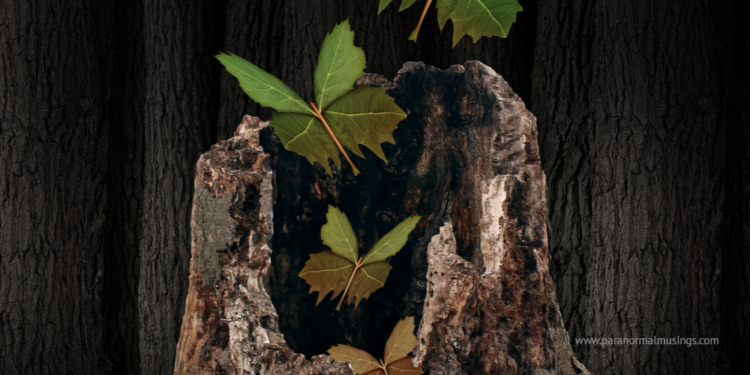 paranormalmusings_easternviewsondeathandreincarnation