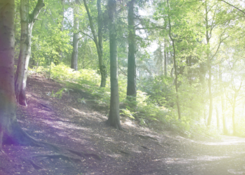 Paranormal Musings_Ectoplasm