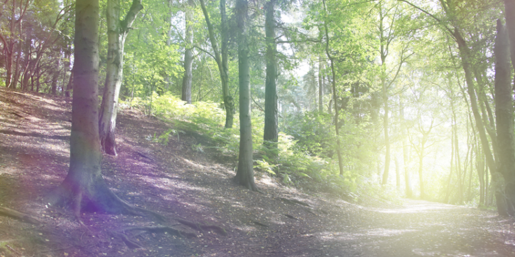 Paranormal Musings_Ectoplasm