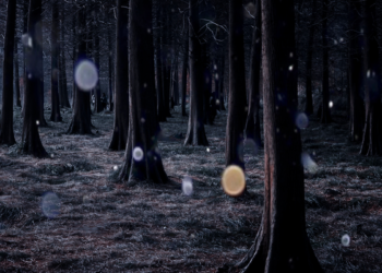 Paranormal Musings_Key Tips for a safe paranormal investigation