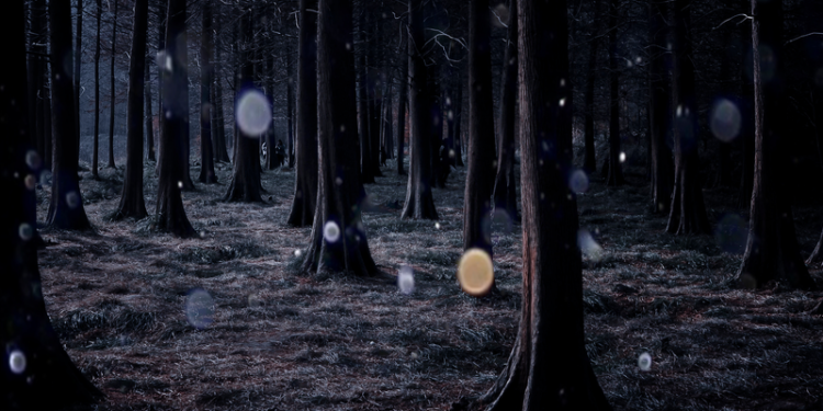 Paranormal Musings_Key Tips for a safe paranormal investigation