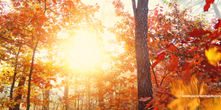 Paranormal Musings_What are Spirit Guides