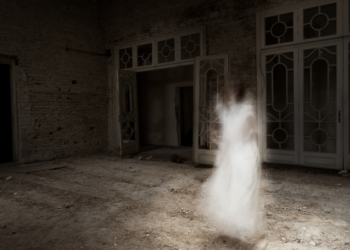 Paranormal Musings_What is a ghost