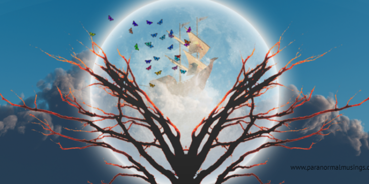 paranormal musings_life after death