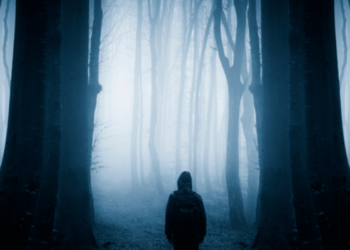 paranormal musings_what are the different types of entities