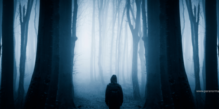 paranormal musings_what are the different types of entities