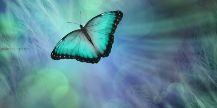 paranormalmusings_The soul journeys many lives as it is not possible to settle all karmic accounts in one lifetime