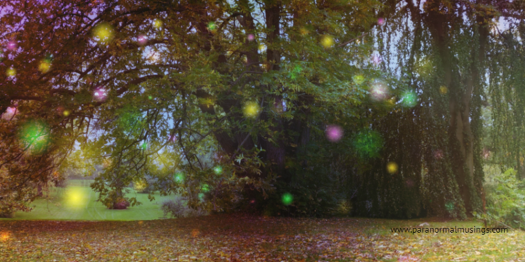 paranormalmusings_What are orbs