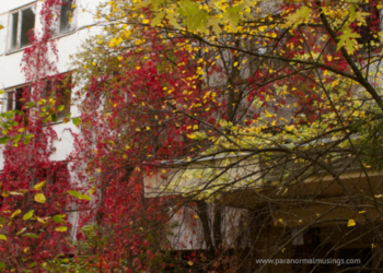 paranormalmusings_commonhauntingsites