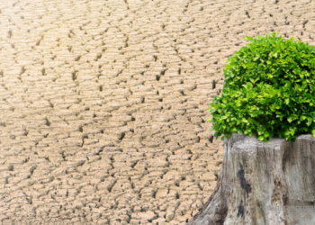 paranormalmusings_detah rebirth and evolution