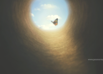 paranormalmusings_process of death